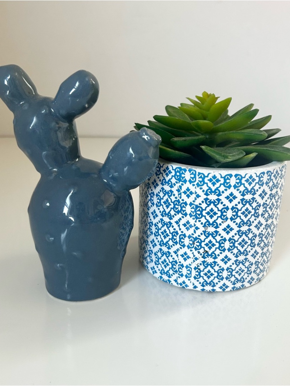 Blue Ceramic Cactus And Succulent Bundle